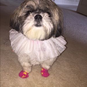 Meet your Posher, Stacey